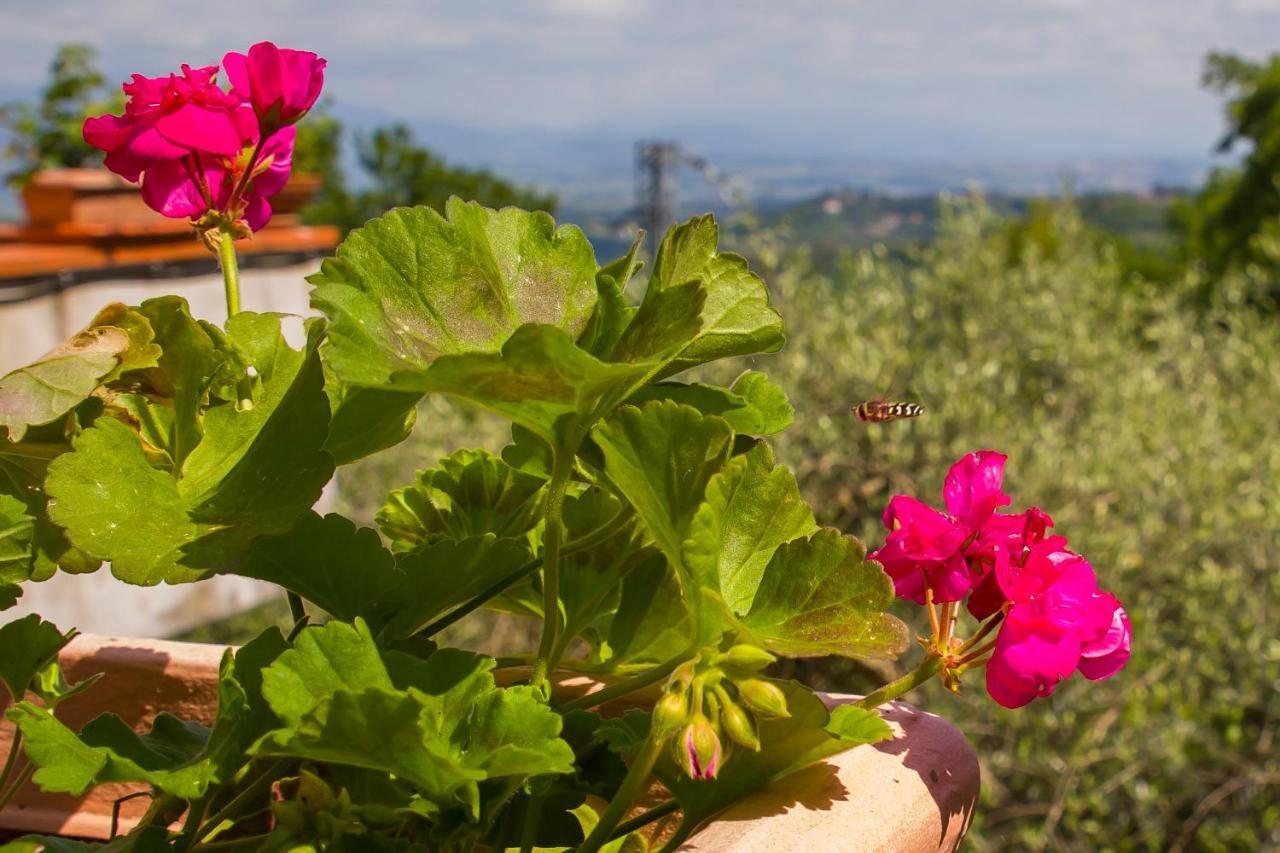 Country House Poggio della Roverella Morlupo Esterno foto